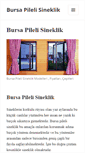 Mobile Screenshot of bursapilelisineklik.com